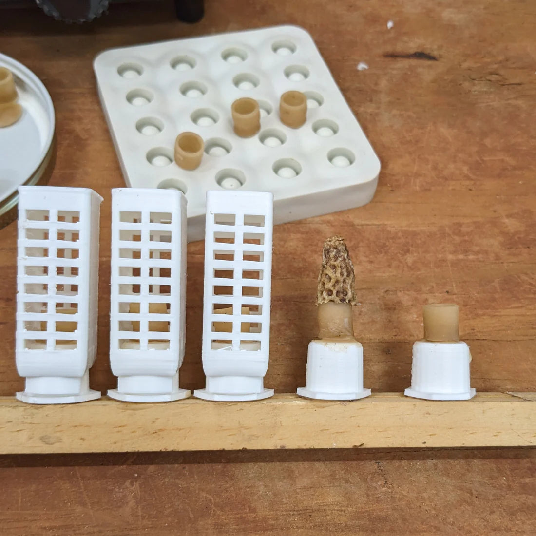 Wax Cell Cup Silicone Mould