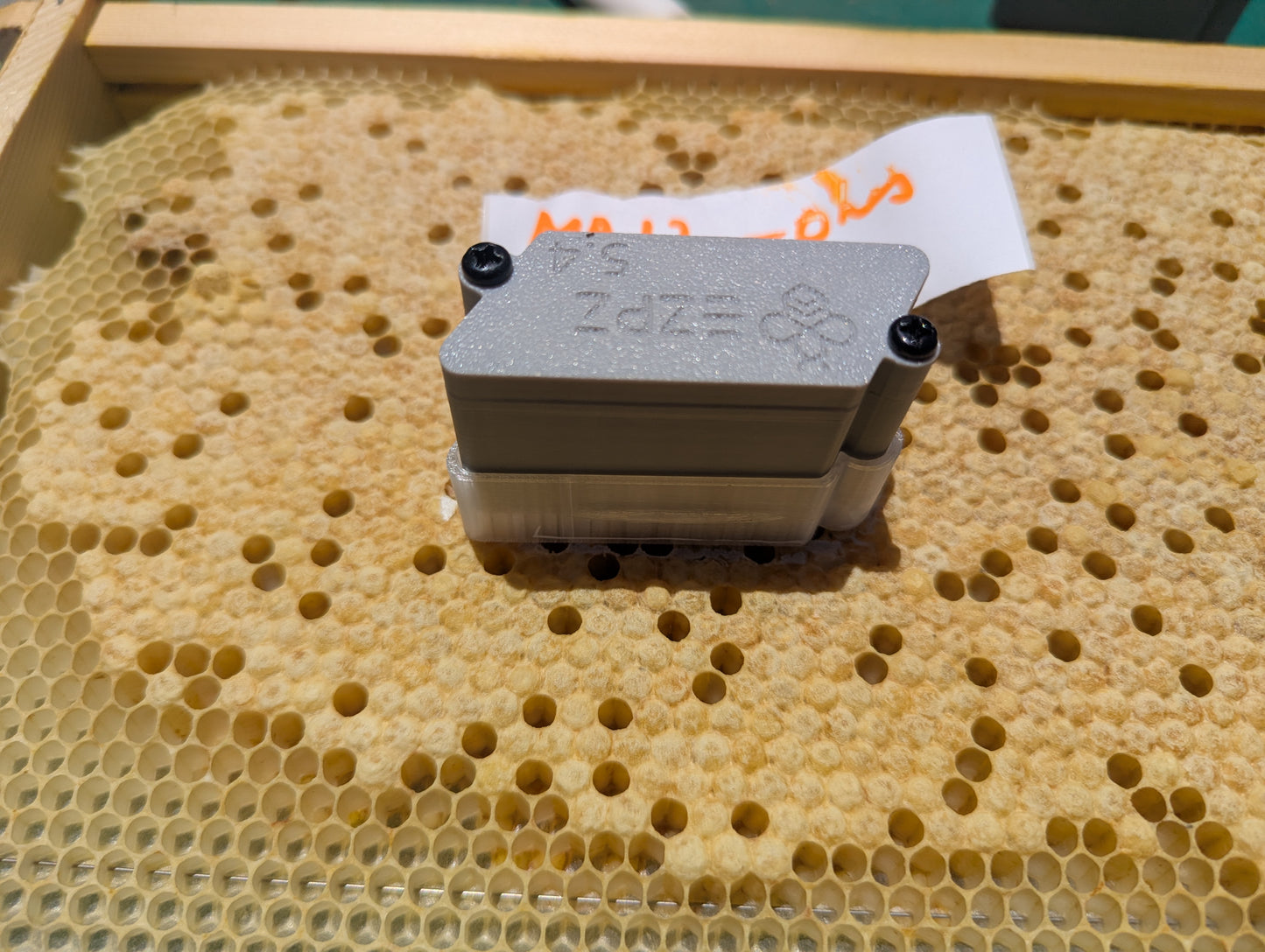 EZPZ Pin Tester – Hygienic Behaviour Testing Tool (Australian Made)