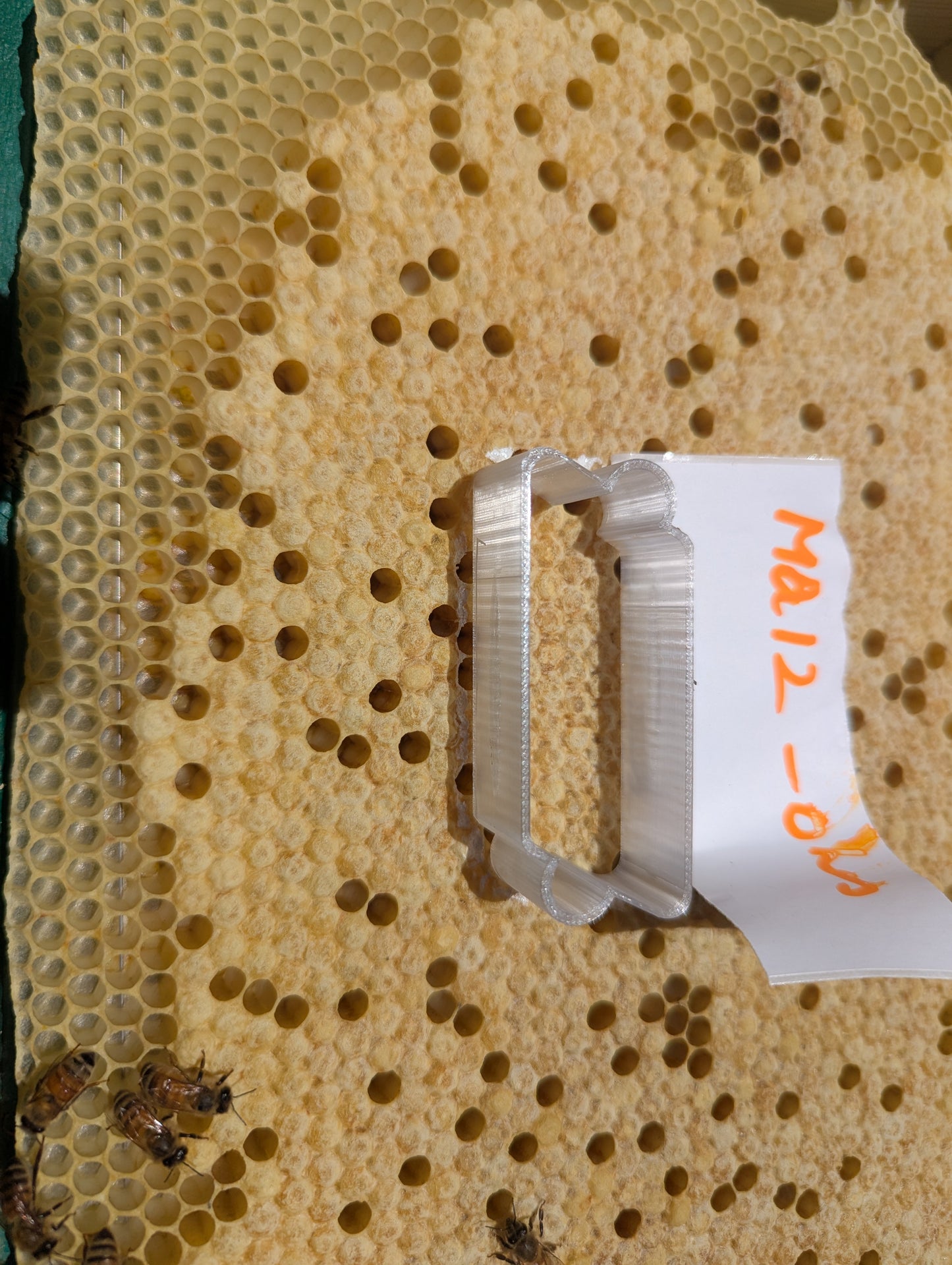 EZPZ Pin Tester – Hygienic Behaviour Testing Tool (Australian Made)